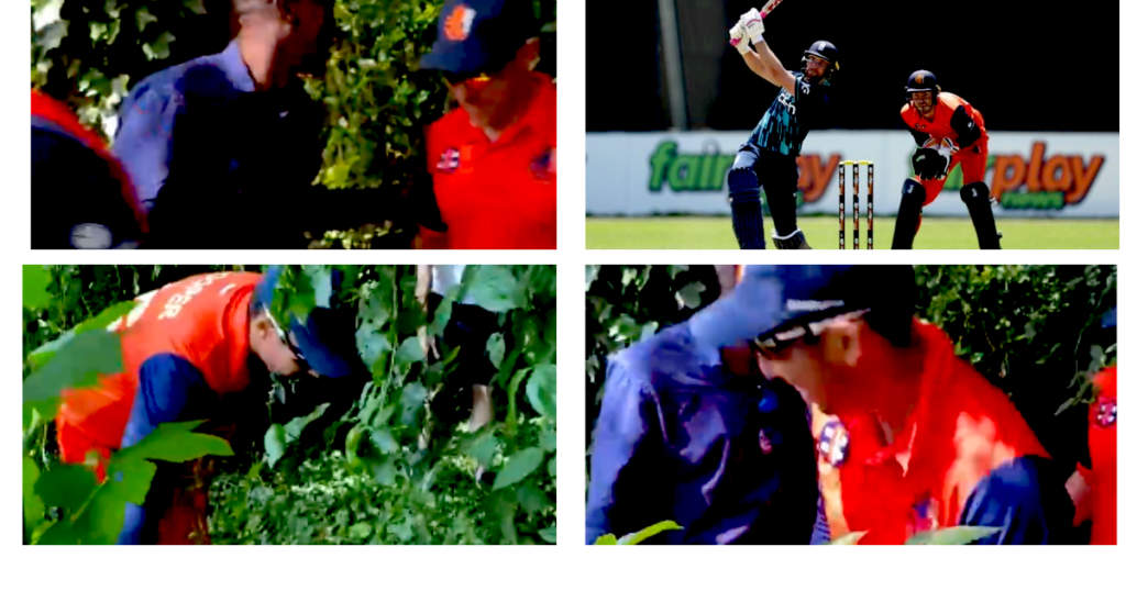  डेविड मलान के छक्के से झाड़ियों में गुम हुई गेंद, गली क्रिकेट की तरह बॉल ढूंढते रहे फील्डर-स्टाफ