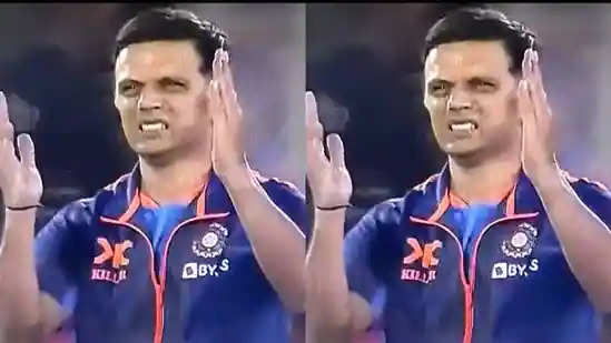 IND vs NZ: राहुल द्रविड़ ने दे दिया सीरीज जीतने के बाद कुछ ऐसा रिएक्शन, VIDEO देख फैंस लेकर खिलाड़ी और कमेंटेटर भी रह गए दंग