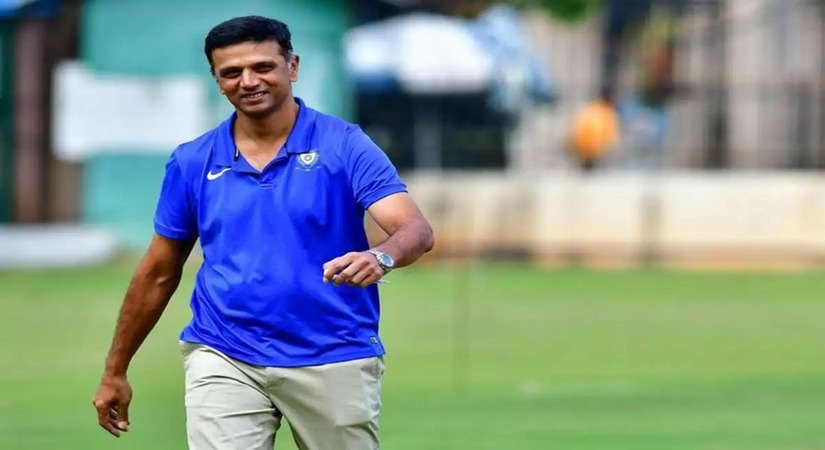 टीम इंडिया कोच: बीसीसीआई अधिकारी ने की पुष्टि, राहुल द्रविड़ न्यूजीलैंड सीरीज के लिए टीम इंडिया की कमान संभालेंगे